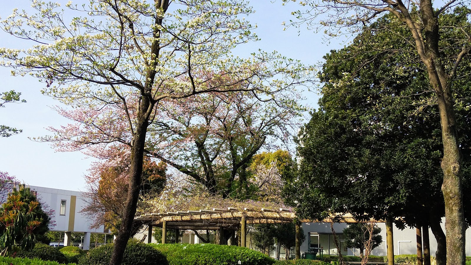 所沢市の代表写真