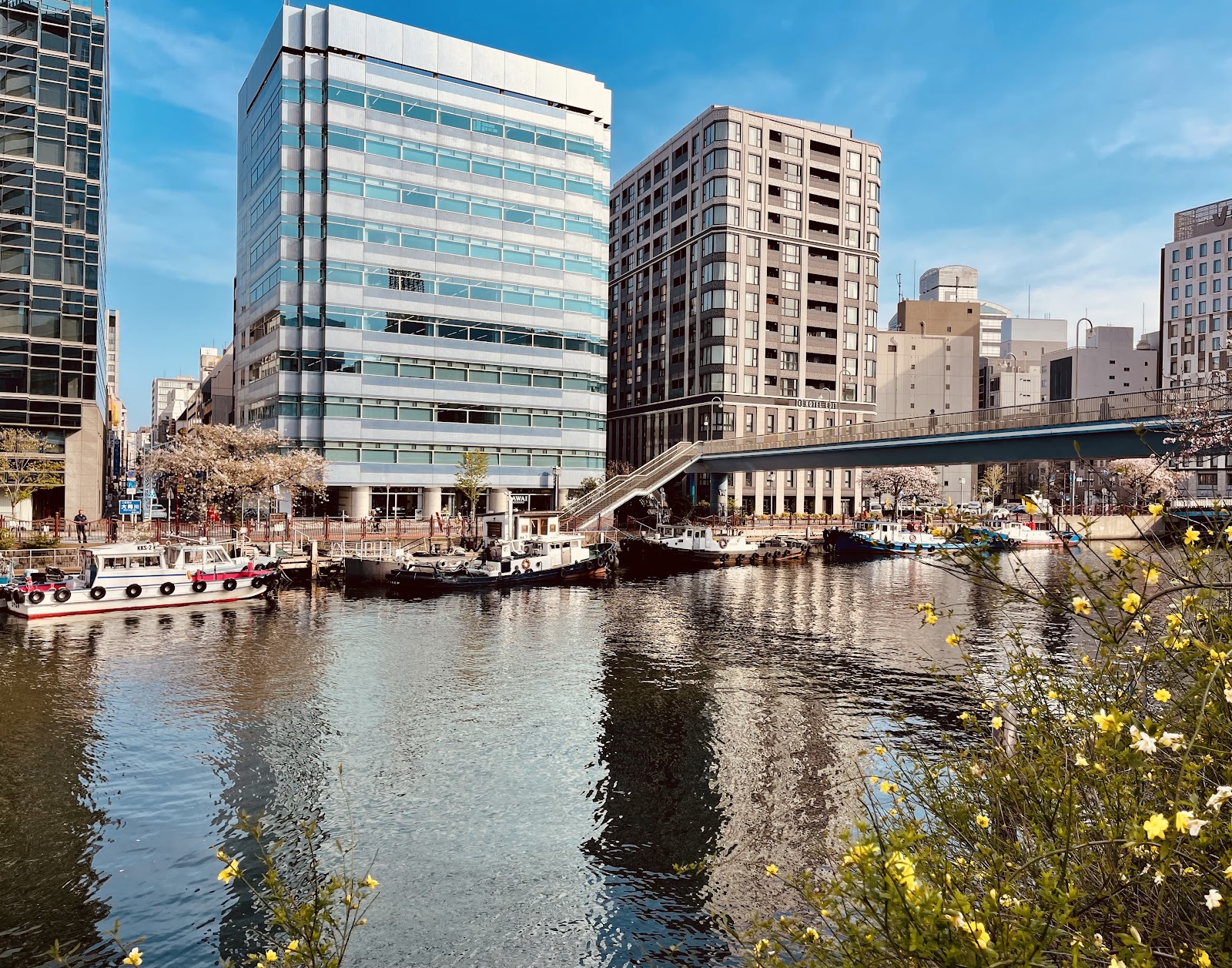 横浜市の代表写真